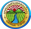 community logo